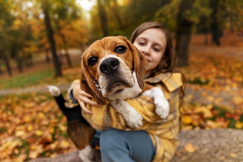 20230730134535 fpdl.in young girl holds beagle dog her arms autumn background 564806 1944 medium 1